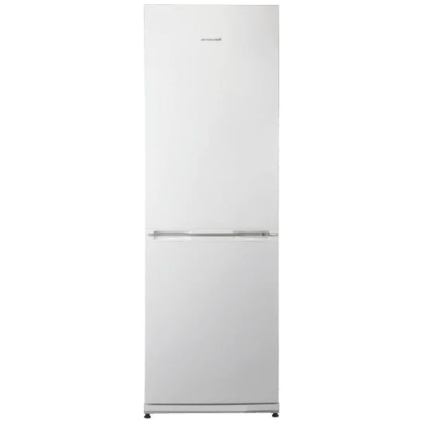 Refrigerator Snaige RF34SM-S10021