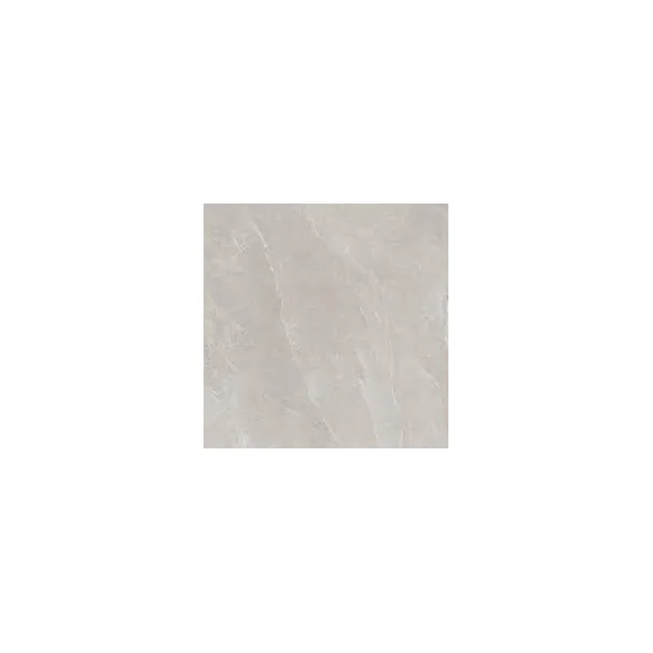 TEO. Leon Silver F P 600x600x8 R Mat 1