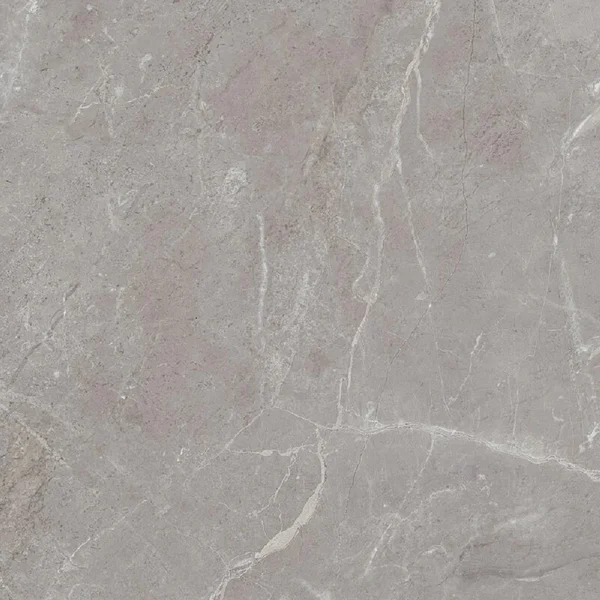  TEO. Arber Grey F P 600x600x8 R Mat 1